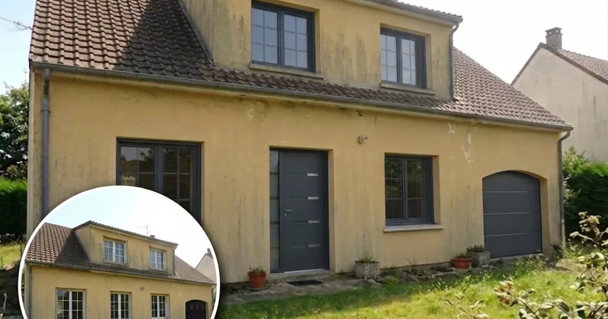 avant aprés travaux de démoussage de toiture